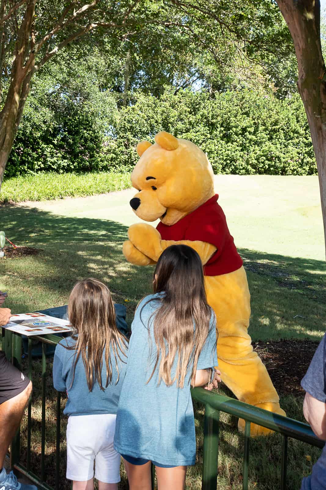 Meeting Winnie The Pooh in Epcot