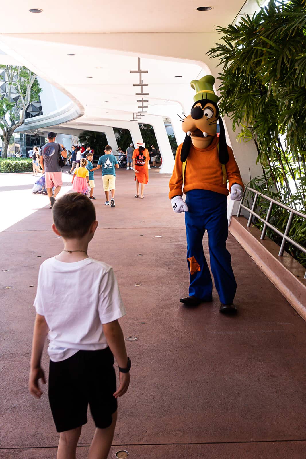Disney World Goofy Character Meet and Greet Experience in Epcot