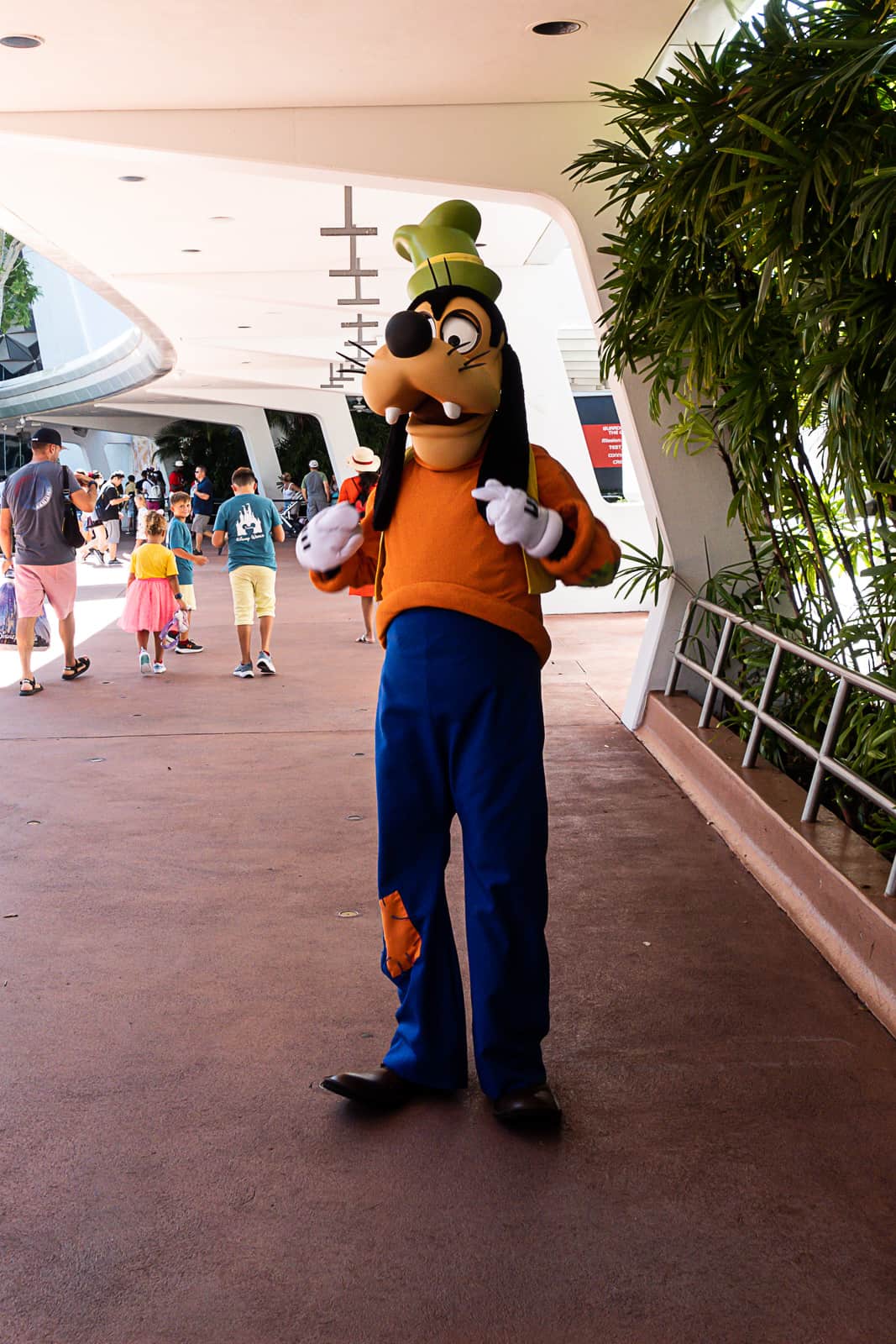 Goofy Disney Character Meet and Greet in Epcot Theme Park Orlando