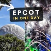 One Day Epcot Itinerary Plan