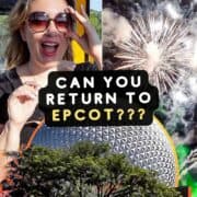Return to Epcot Disney World Park on the Skyliner