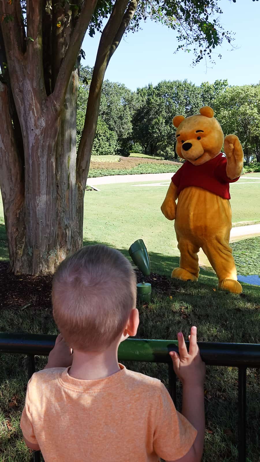 Winnie The Pooh Epcot Character Meet and Greet