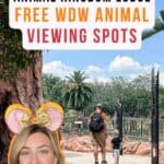 Animal Kingdom Lodge Animal Viewing Locations with text overlay and Jenna Loves Magic logo