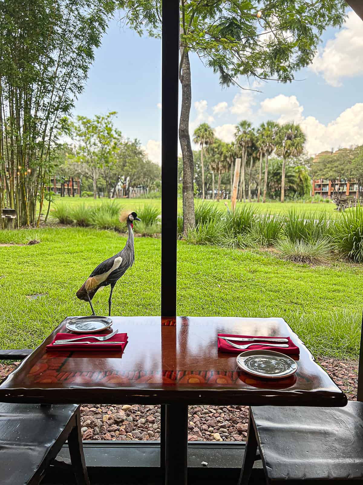 Dining with view of animals during lunch at Sanaa Restaurant in Animal Kingdom Lodge Resort at Walt Disney World