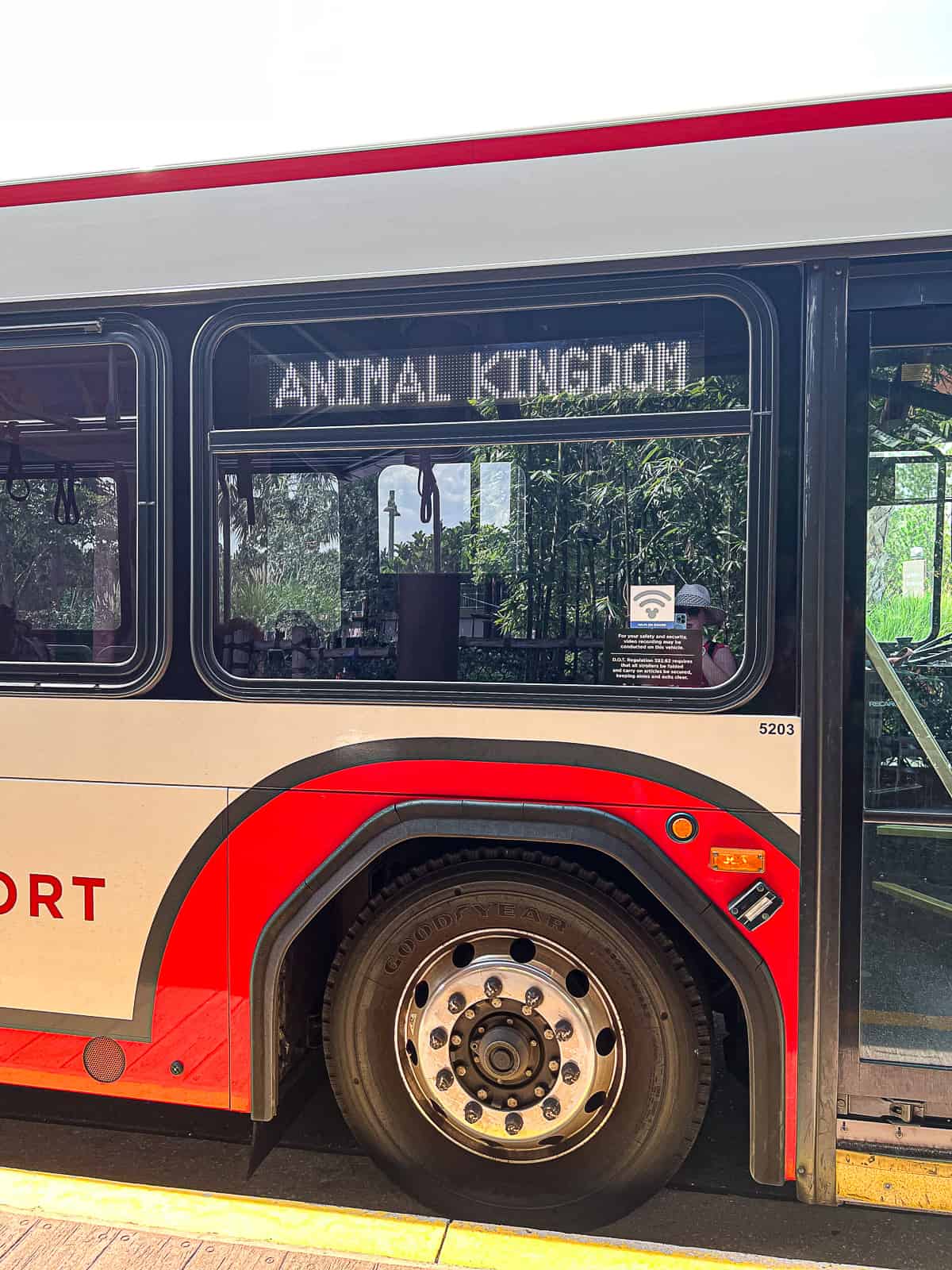 Disney World Bus Shuttle Between Kidani Village and Jambo House at Animal Kingdom Lodge Resort