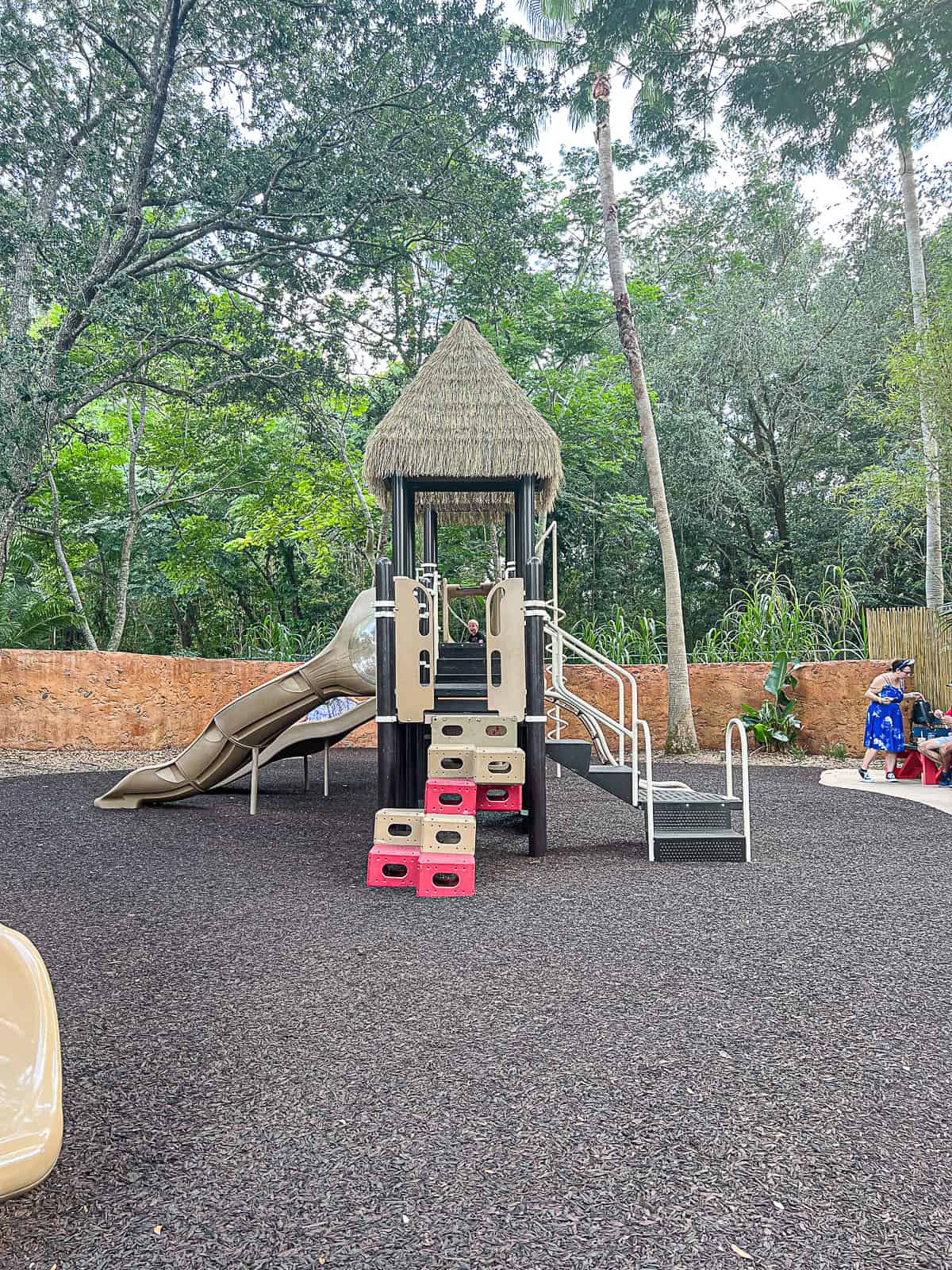 Free things to do at Animal Kingdom Lodge example of Hakuna Matata Playground