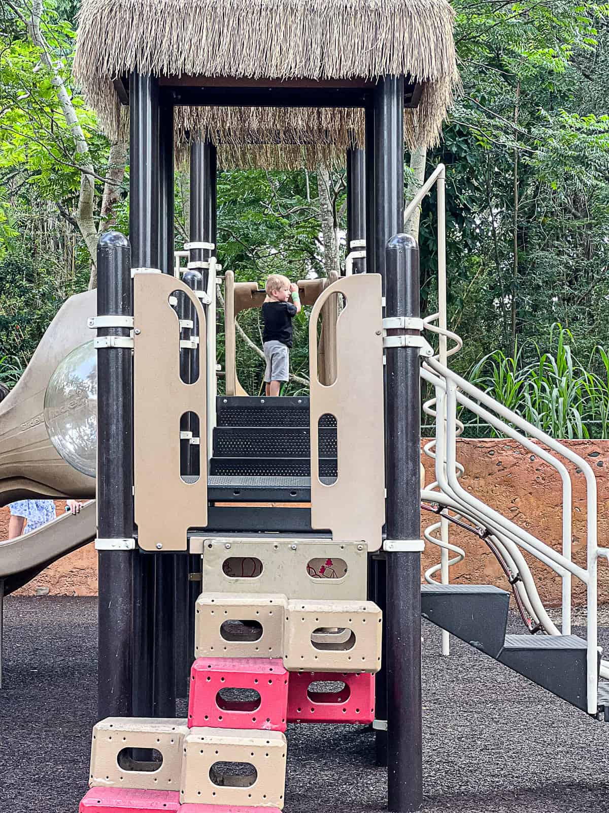 Kids Playground With Climbing at Animal Kingdom Lodge in Walt Disney World