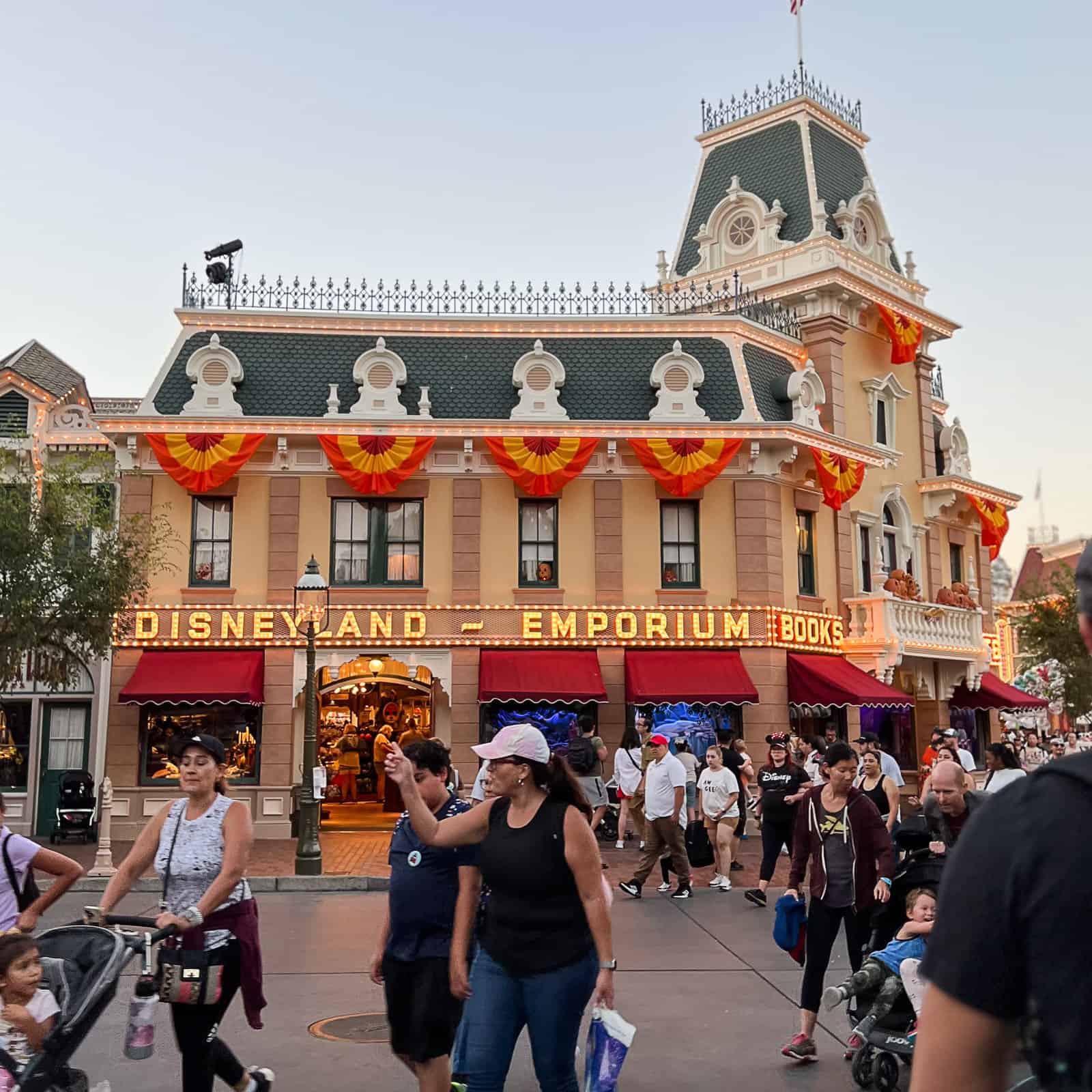 1 Day Disneyland Park Day Itinerary Guide