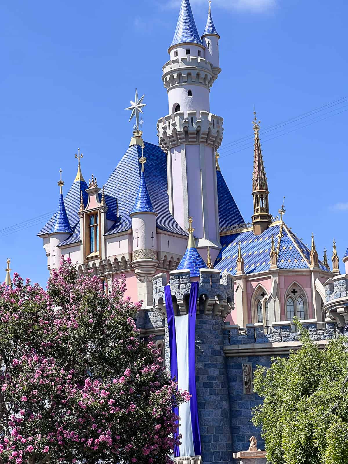 Castle at Disneyland Park Anaheim