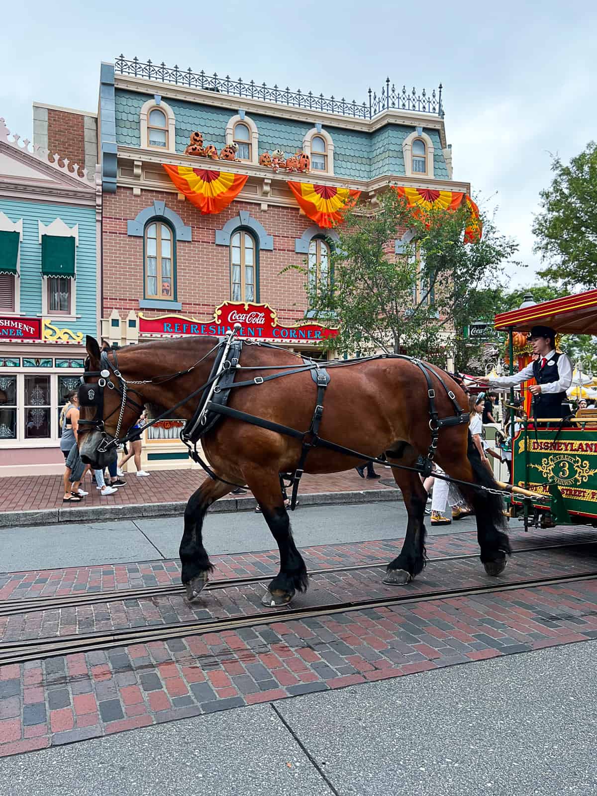 Disneyland View From Main Street USA with horse trolly