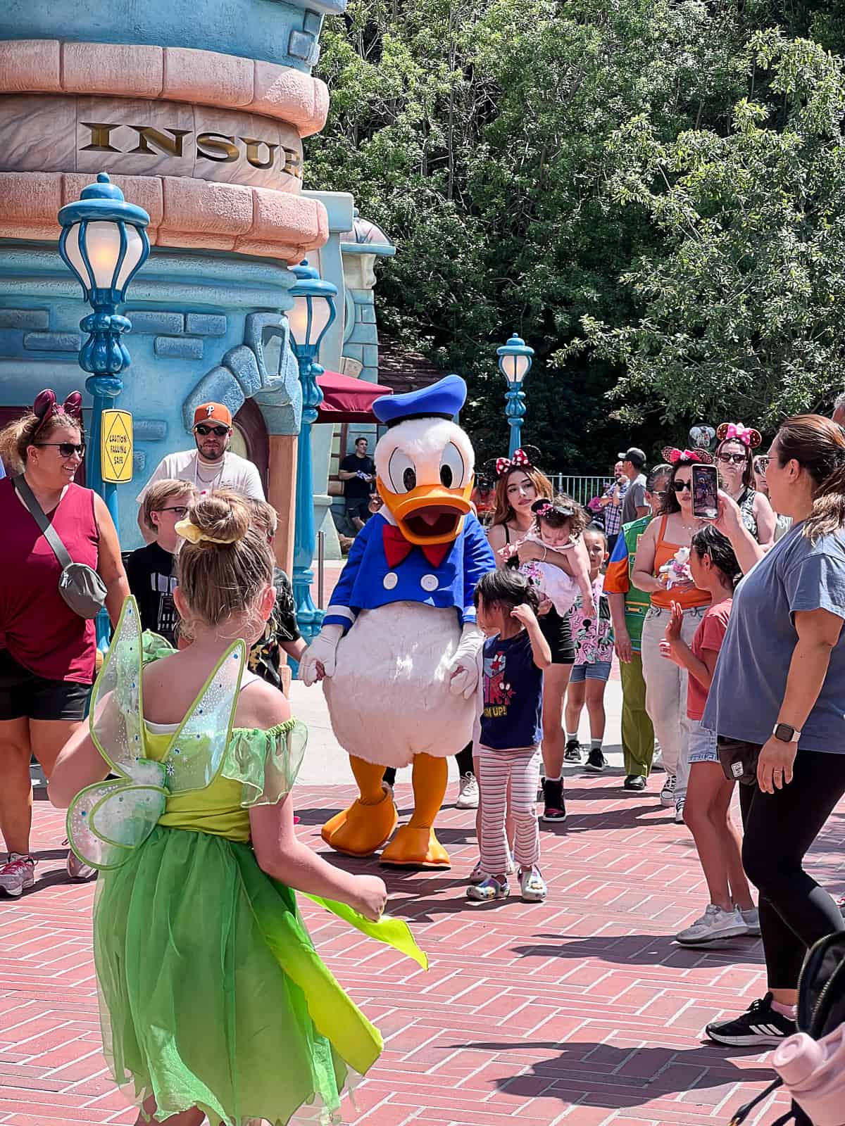 Donald Duck Character Meet and Greet at Disneyland Park